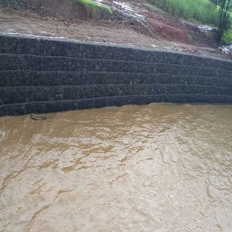 Reinforced Soil Walls with Gabion Fascia