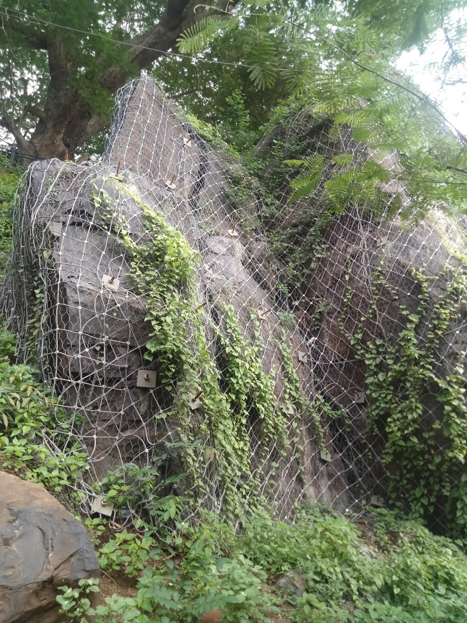 Slope Stabilization on Upstream Side of Nature Trail, Malabar Hill, Mumbai