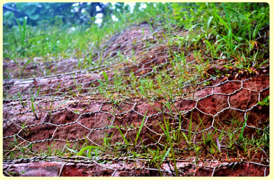 Passive Slope Stabilization Banner