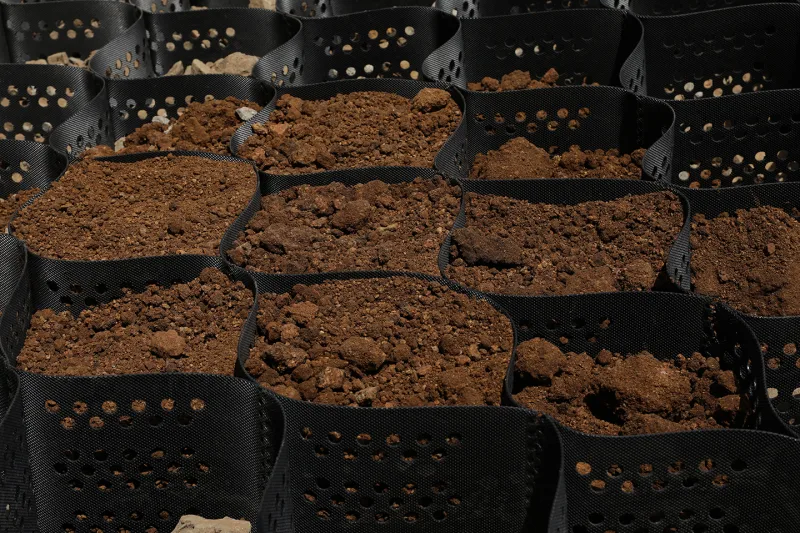 Geocell