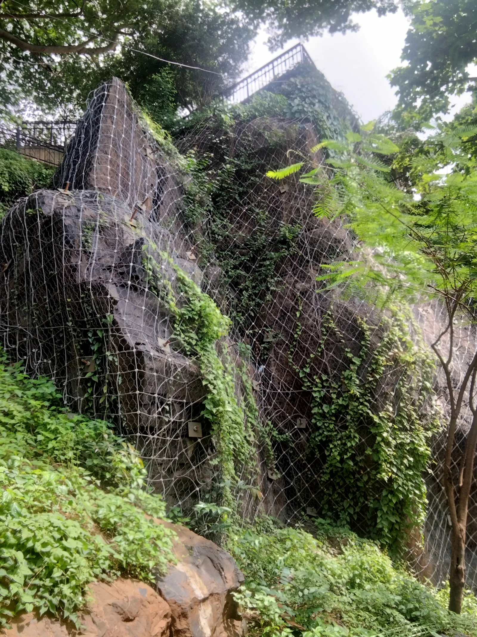Slope Stabilization at Malabar Hill Nature Trail, Mumbai