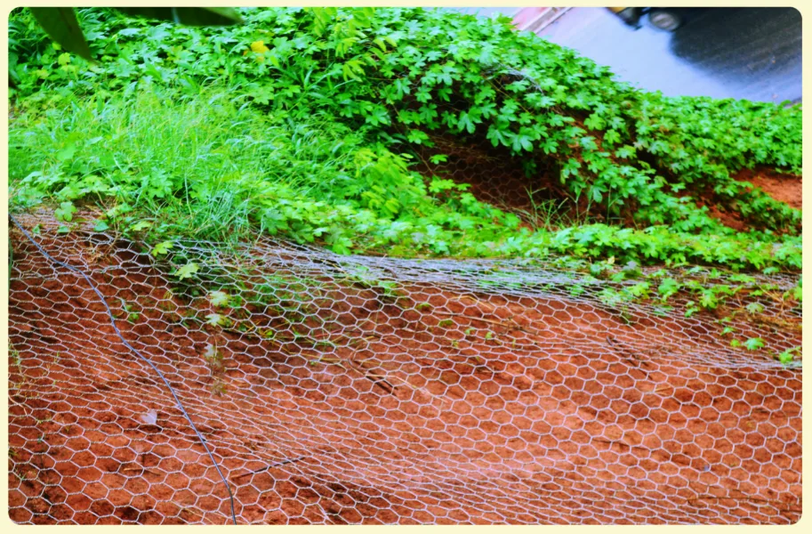 Rockfall Protection Works at Jorabat–Shillong Section of NH-40, Assam & Meghalaya