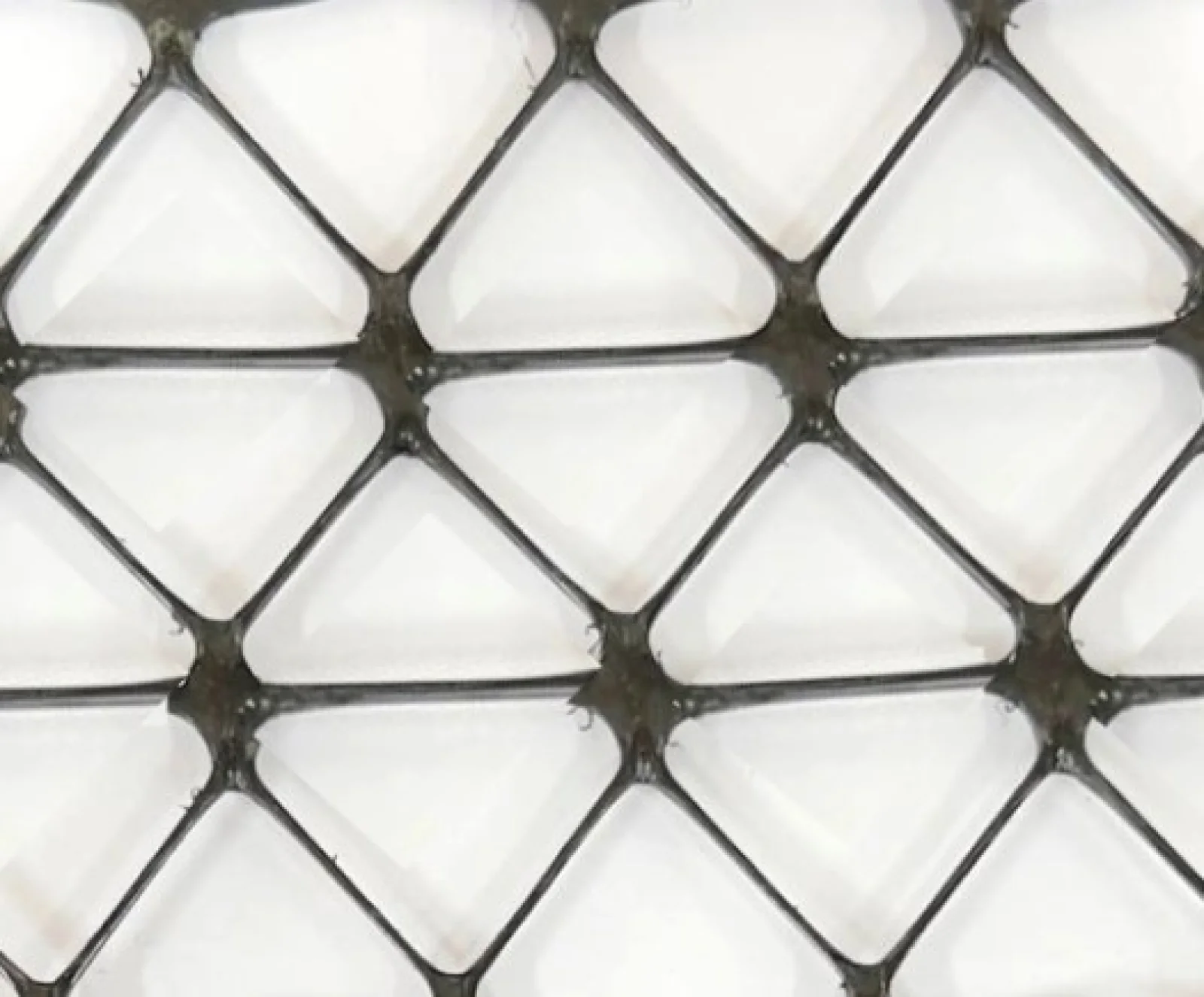 TechGrid Three Axes Geogrid