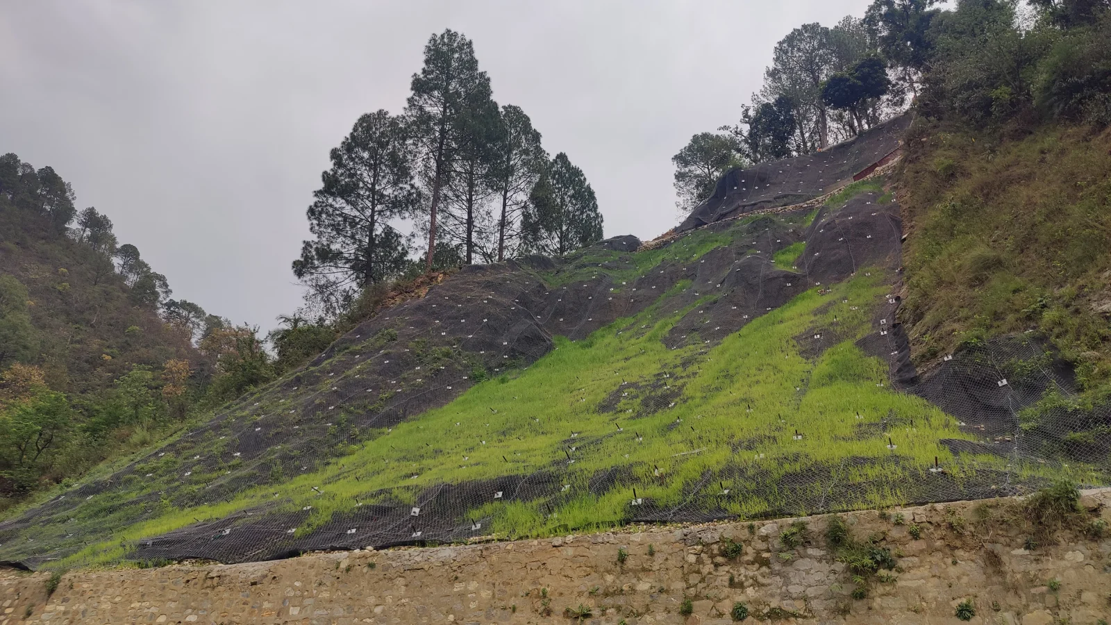 TechMat Erosion Control Mat