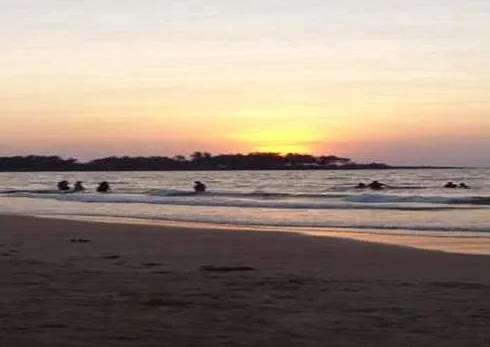 Beach Reclamation & Nourishment at Devbagh, Malvan, Sindhudurg IMAGE : FILE NAME - 2