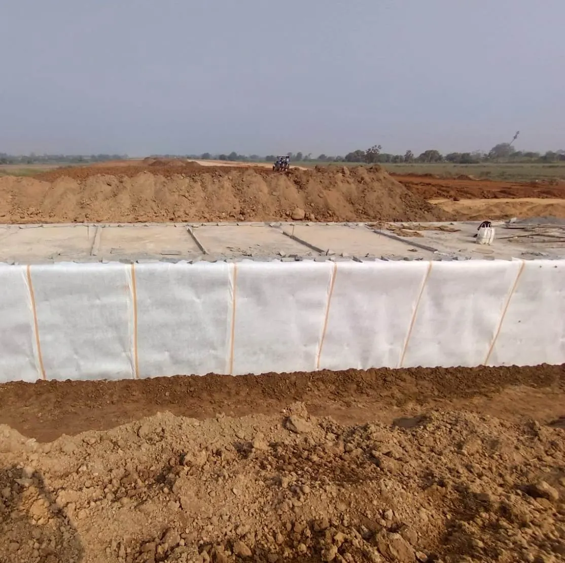 Drainage Behind the Abutments, Wing Walls of Major and Minor Bridges, on the Rewari-Dadri Section (CTP-14), WDFC Phase II