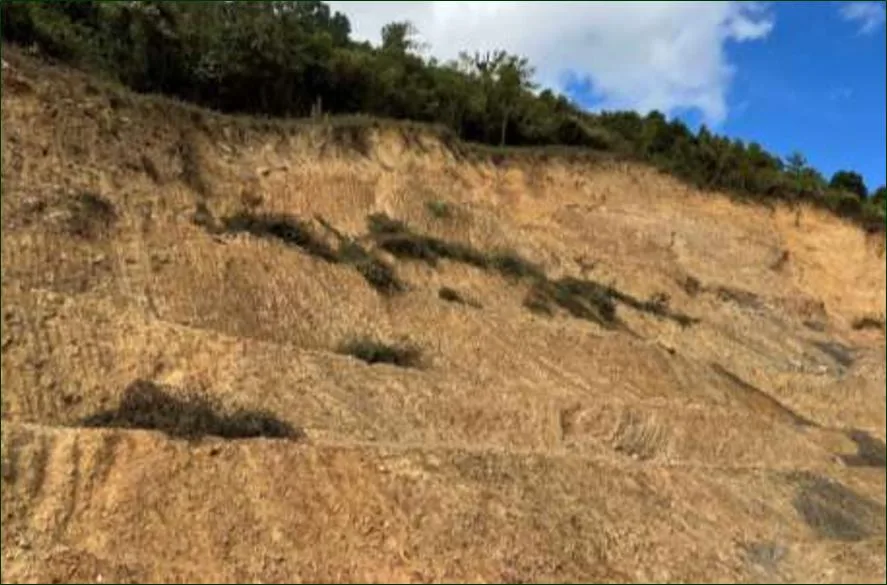 Landslide Mitigation Measures for Tamenglong–Mahar National Highway (NH-137) in Assam